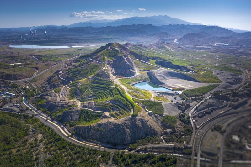 天山区“树上山”燕南裸露荒山绿化项目.jpg