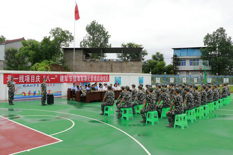 445.jpg